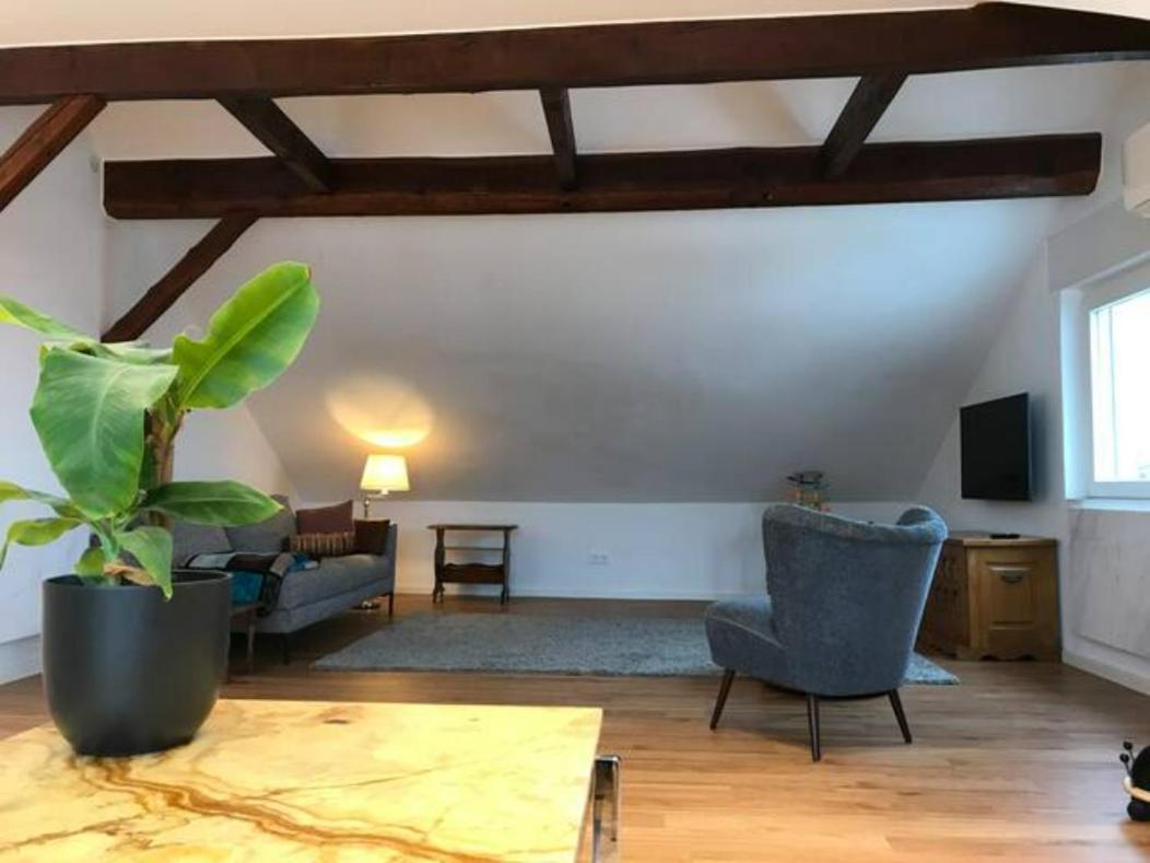 Apartment Luxury Floor *